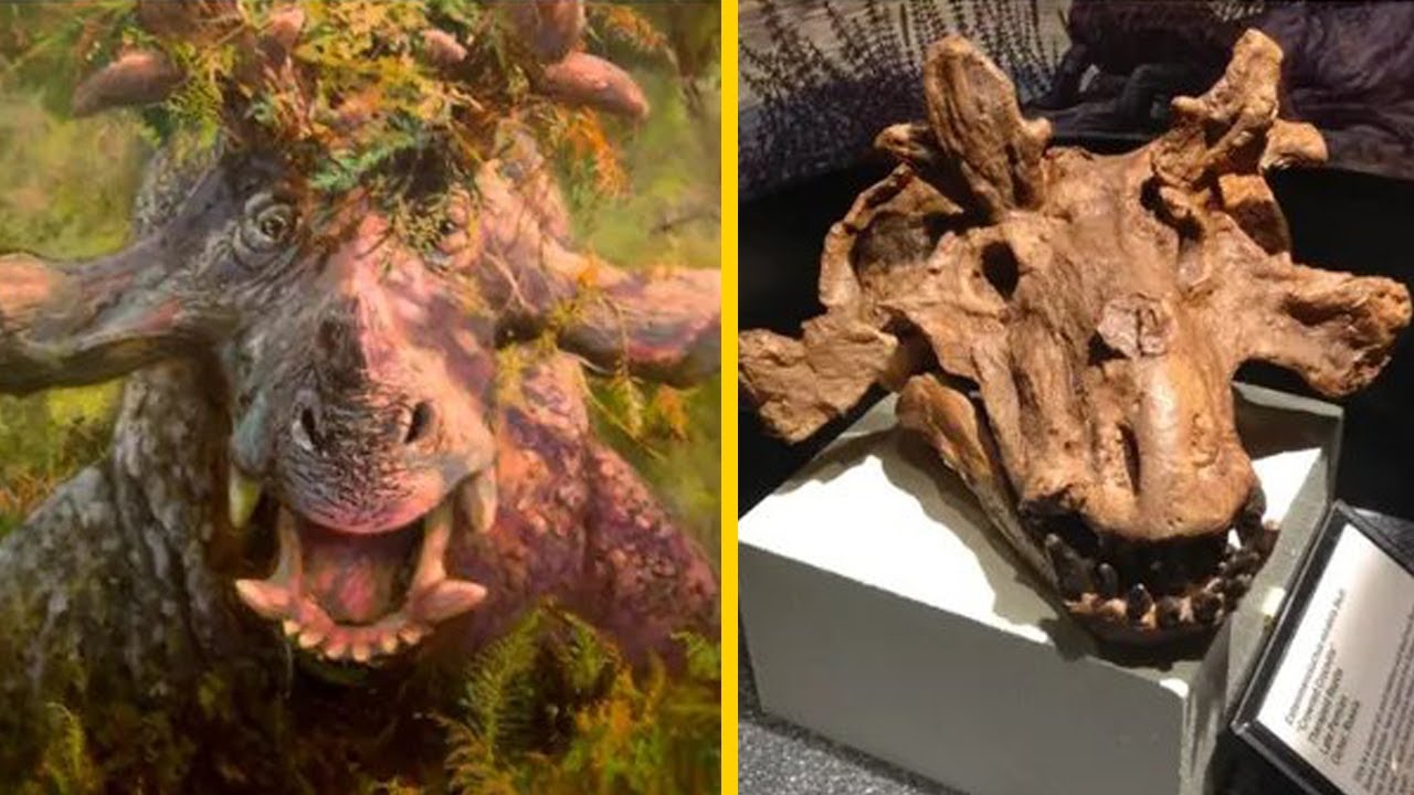 20 Nejděsivějších Tvorů, Kteří Žili Před Dinosaury