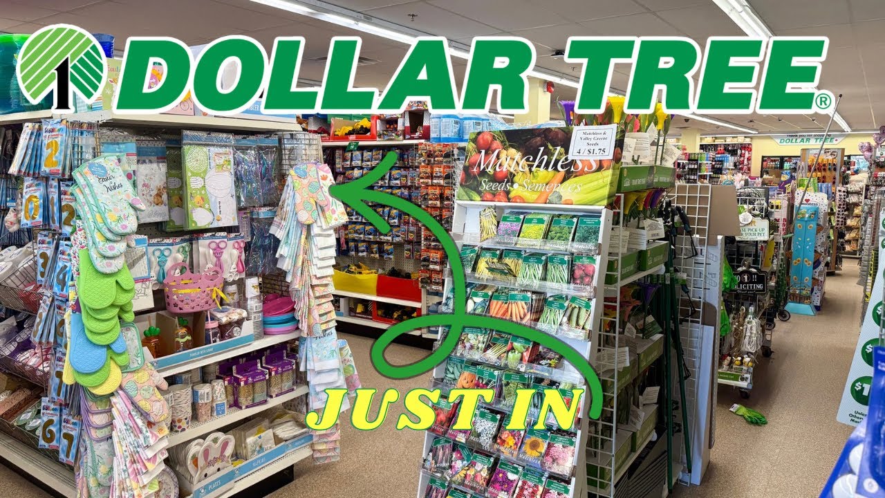 SHOP NEW Dollar Tree FINDS