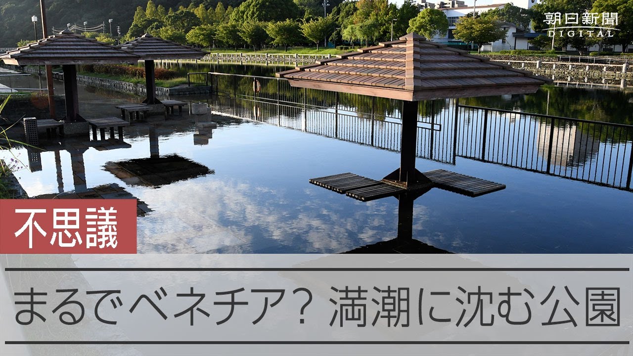 まるで「ベネチア」？　満潮で沈む公園の謎
