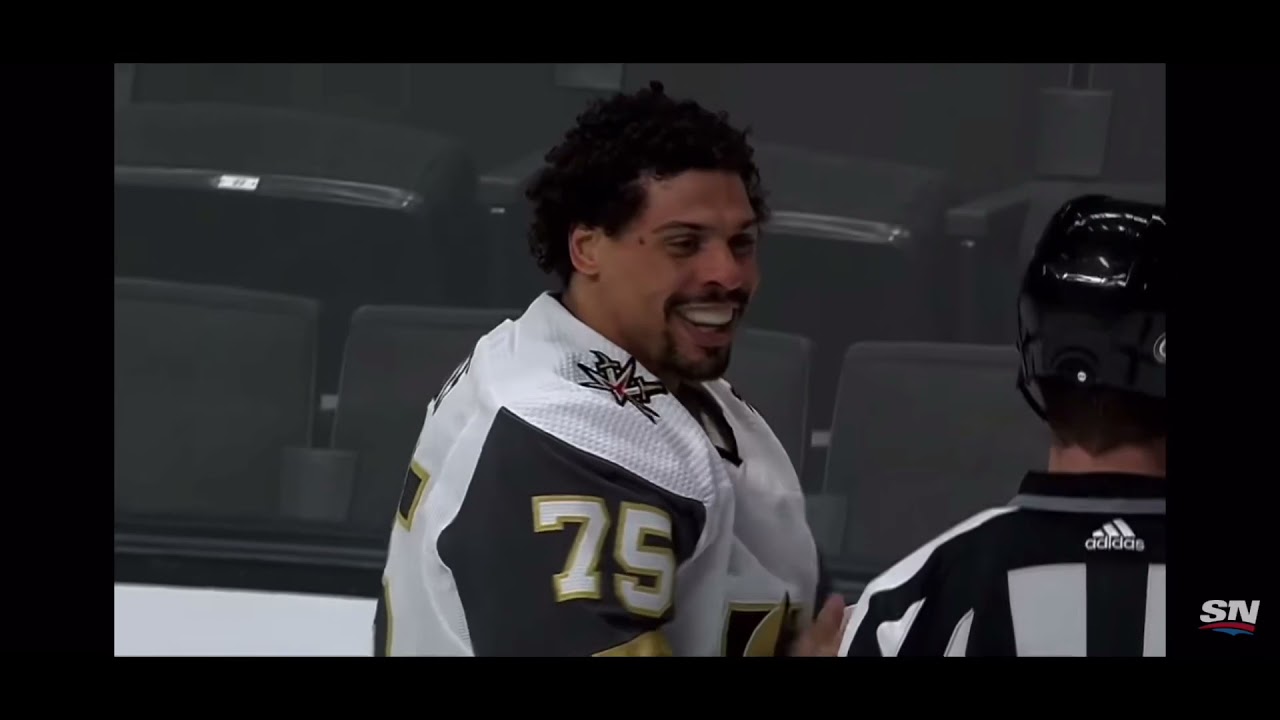 Ryan Reaves Top Fights Compilation