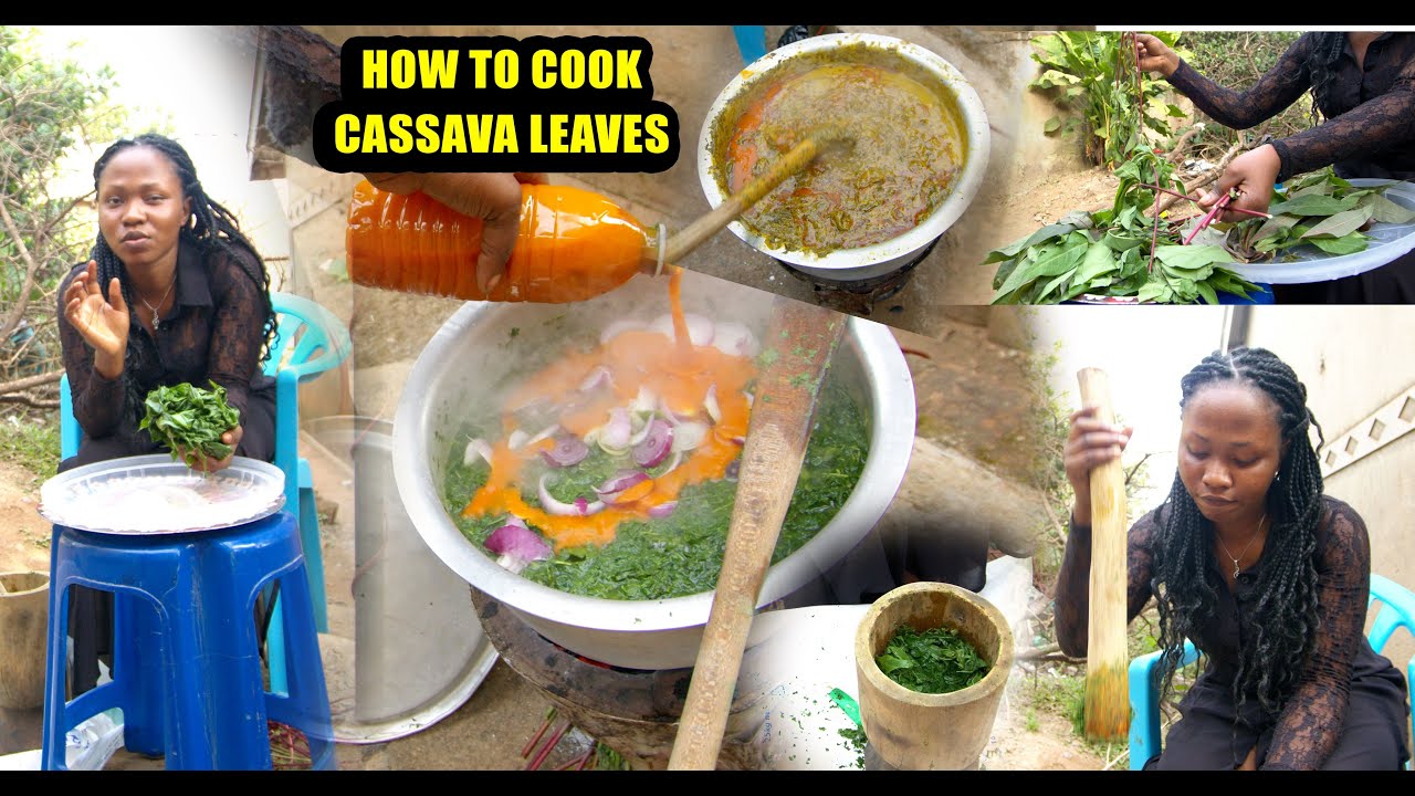 HOW TO COOK AZANDE STAPLE FOOD, THE CASSAVA LEAVES