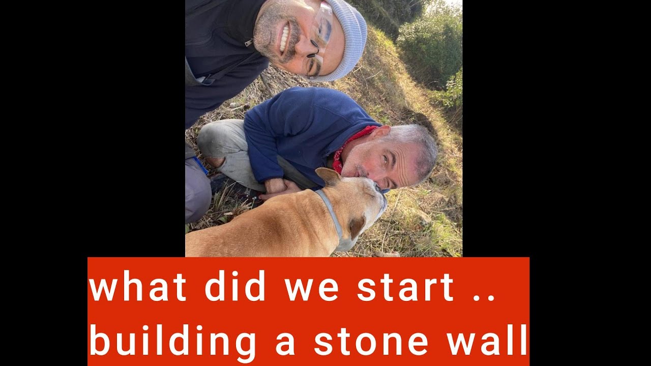 building a stone wall, we need all help we can get