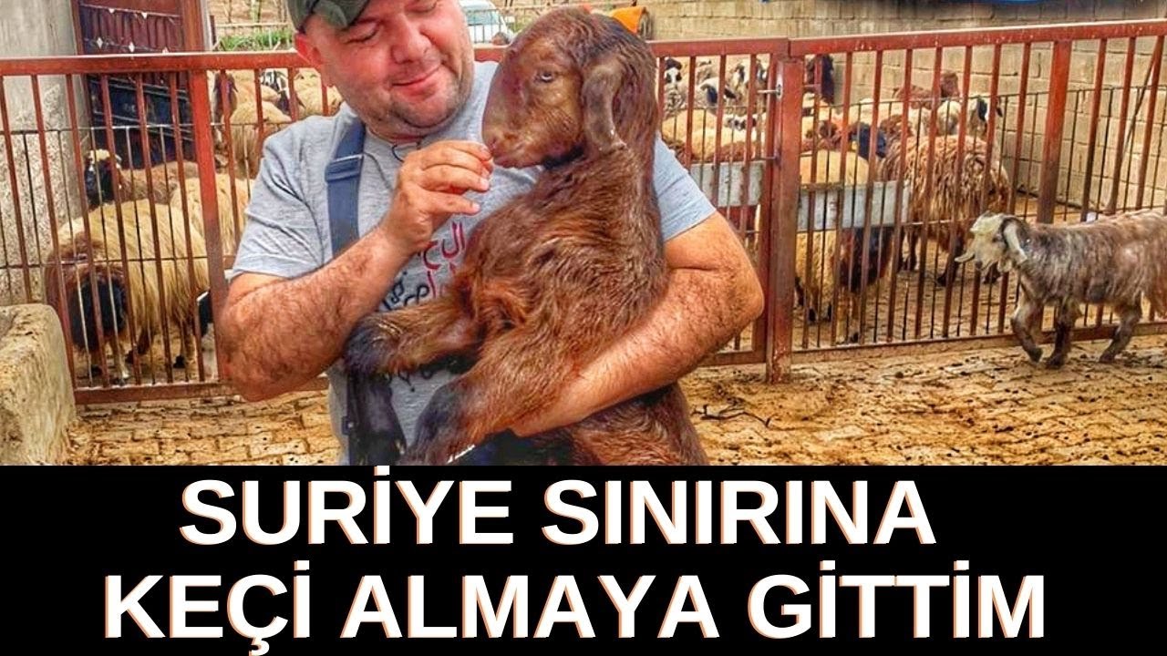SURİYE SINIRINA KEÇİ BAKMAYA GİTTİM / ORTADOĞU TARİHİNE ŞAHİT BİR IRK