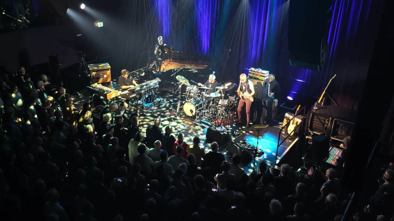 Close call - Simon Oslender, Steve Gadd, Will Lee, Bruno Müller