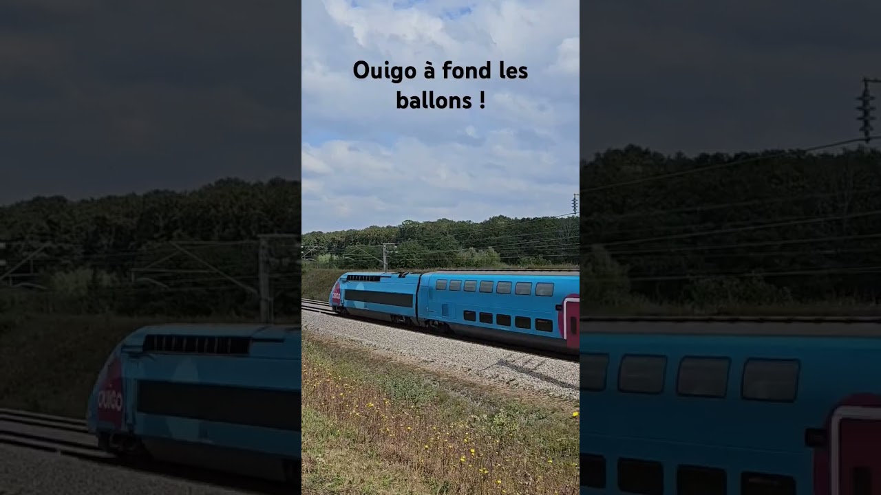 TGV Ouigo full speed en pleine campagne #tgv #ouigo #fullspeed #rail #trainspotter #train