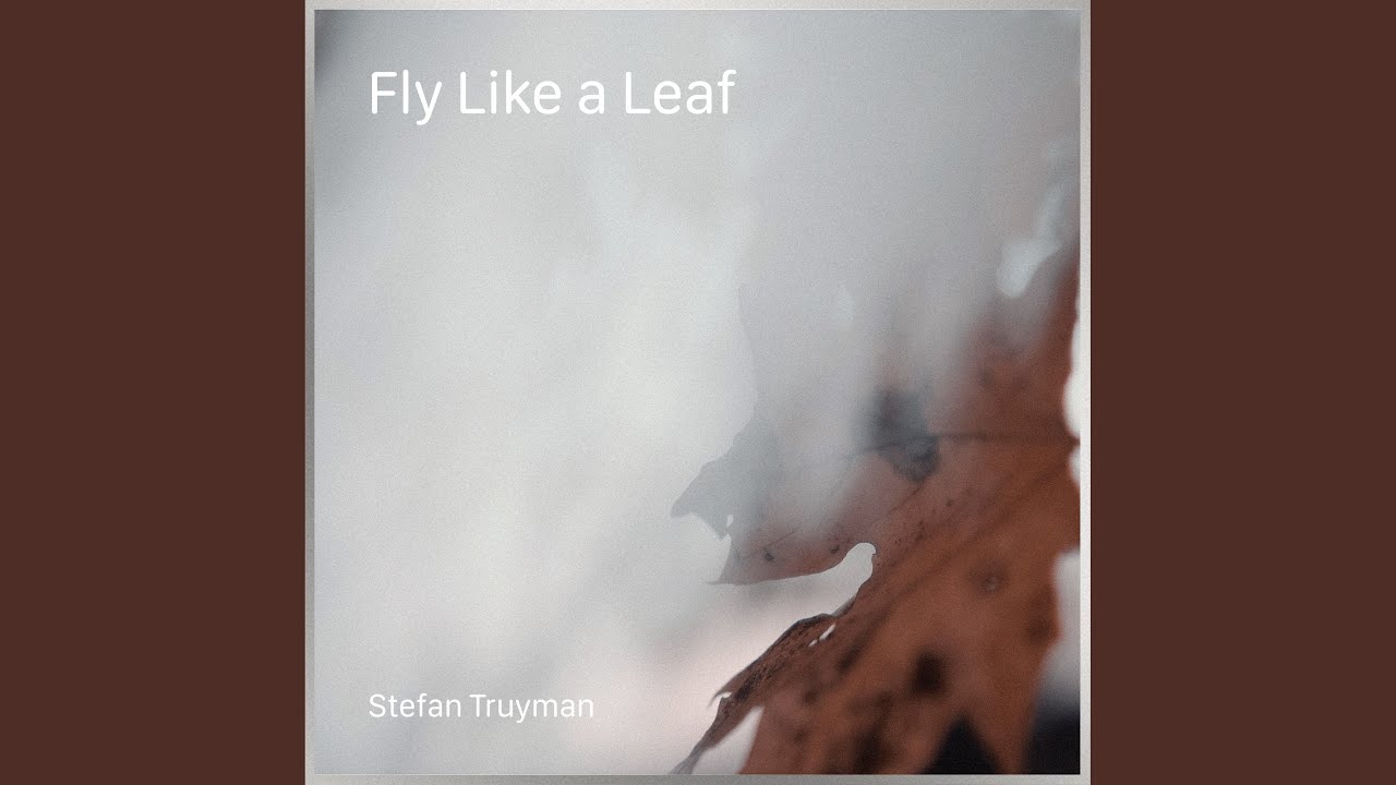 Fly Like A Leaf