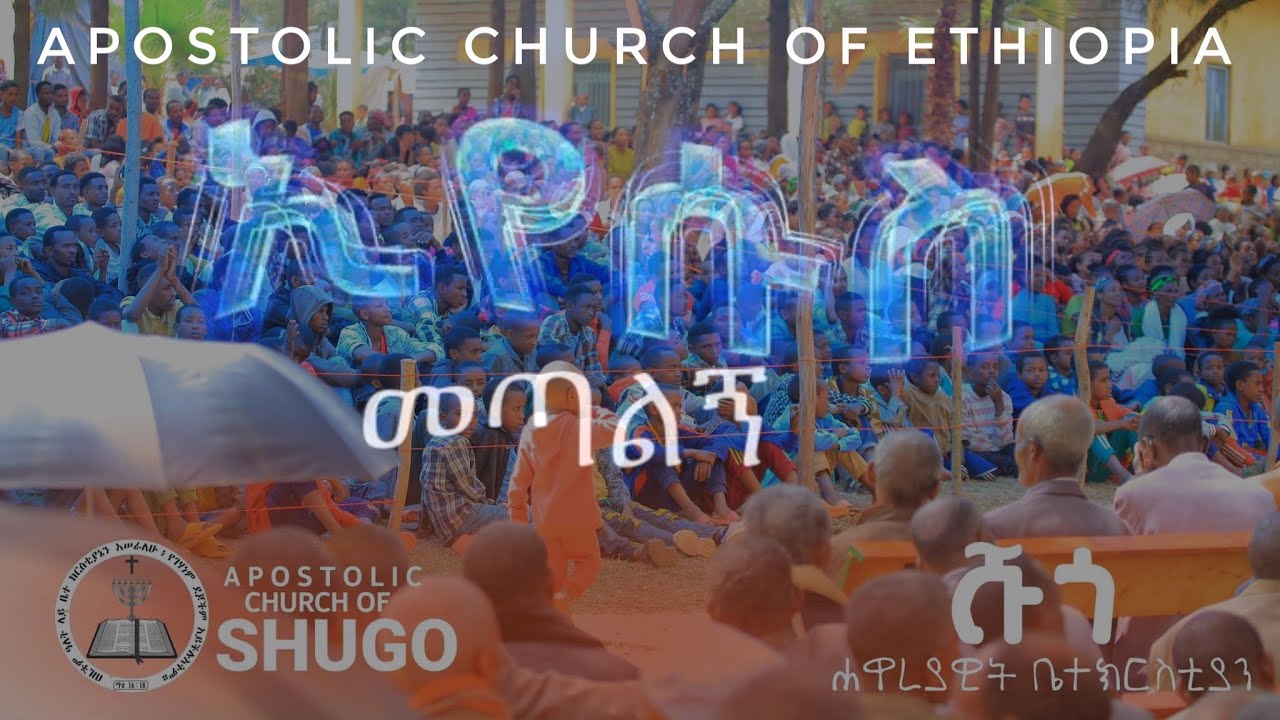 Apostolic church of Ethiopia #shugo conference# ድንቅ አምልኮ በሹጎ ኮንፈረንስ #Eyesus metalign