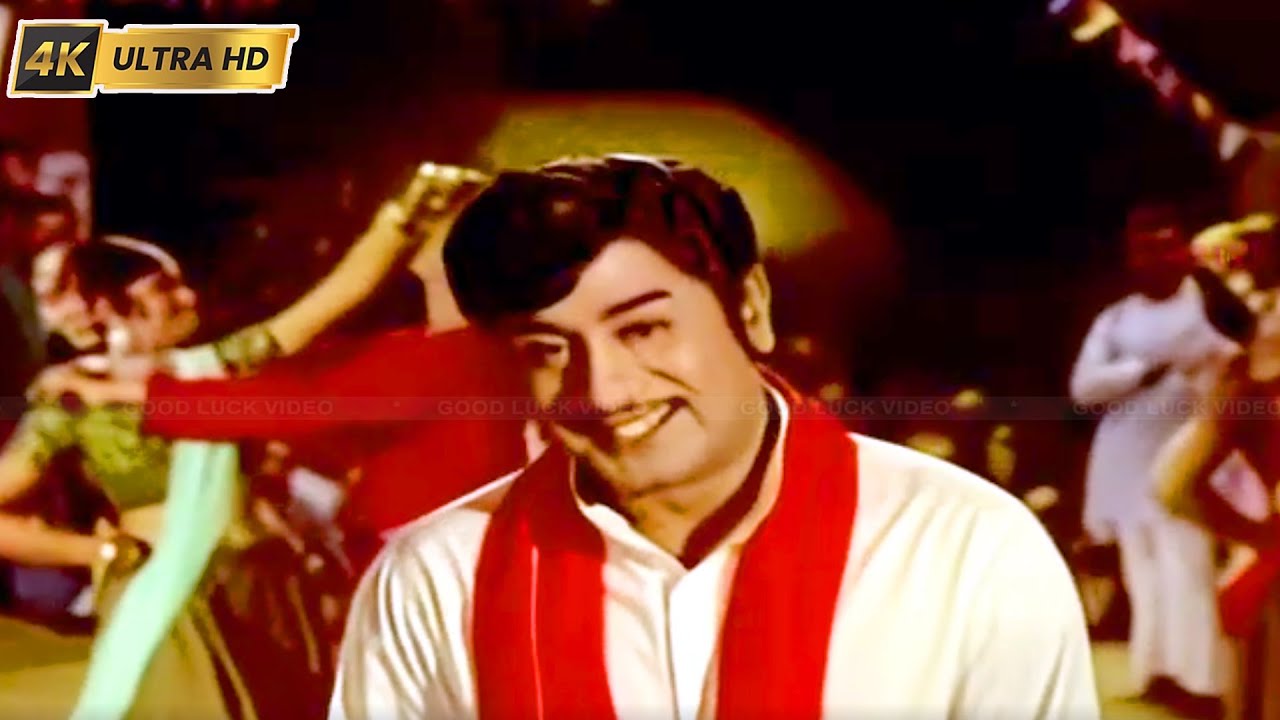 எங்களது பூமி காக்க வந்த சாமி பாடல் | Engaladhu Bhoomi Song | T.M.Soundararajan, P. Susheela | Neethi
