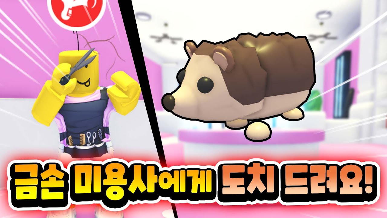 [입양하세요] 빵구들의 펫 염색하기 대결! 최고의 미용사는?