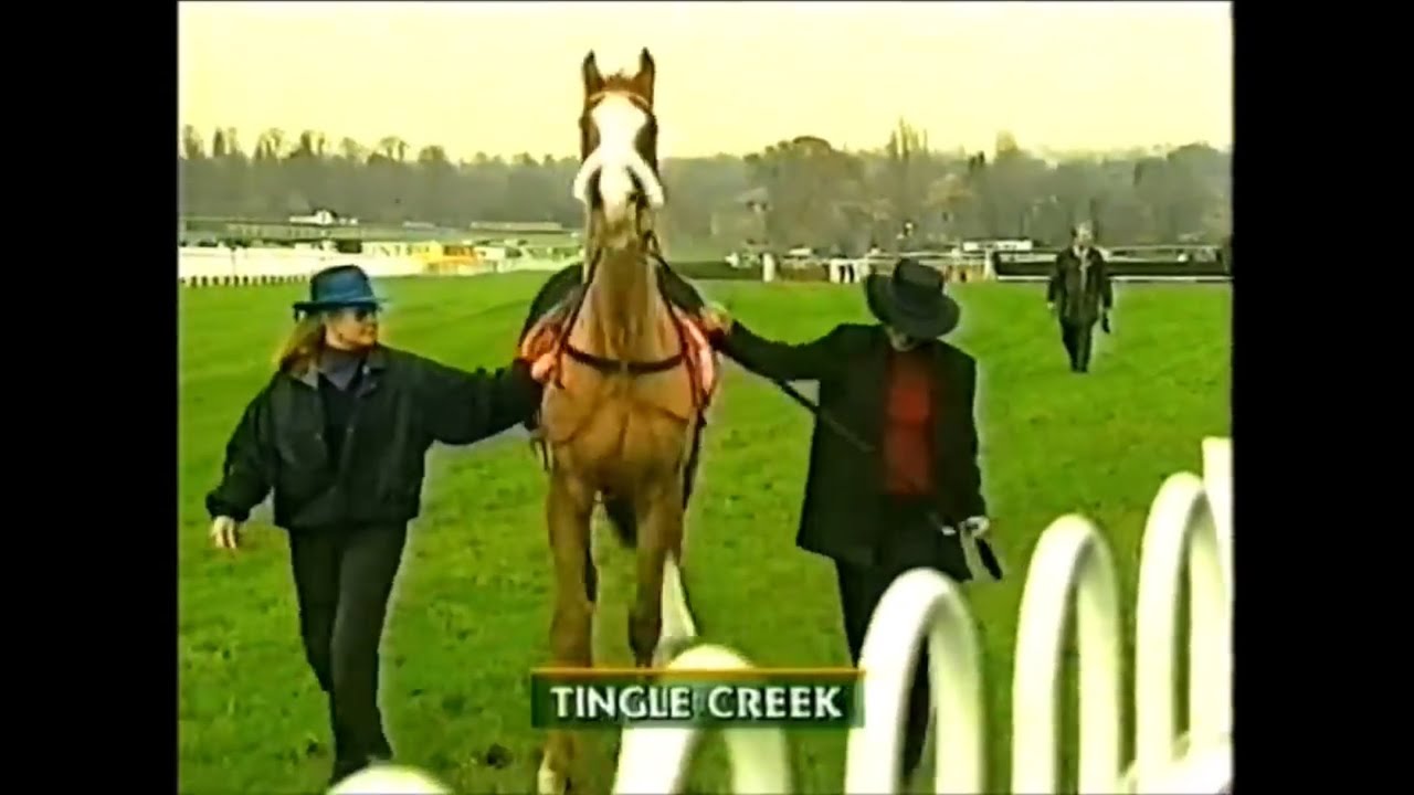 The Tingle Creek Chase.Every Winner 1979/2024  Plus Rare  Extra Footage Racing Legends