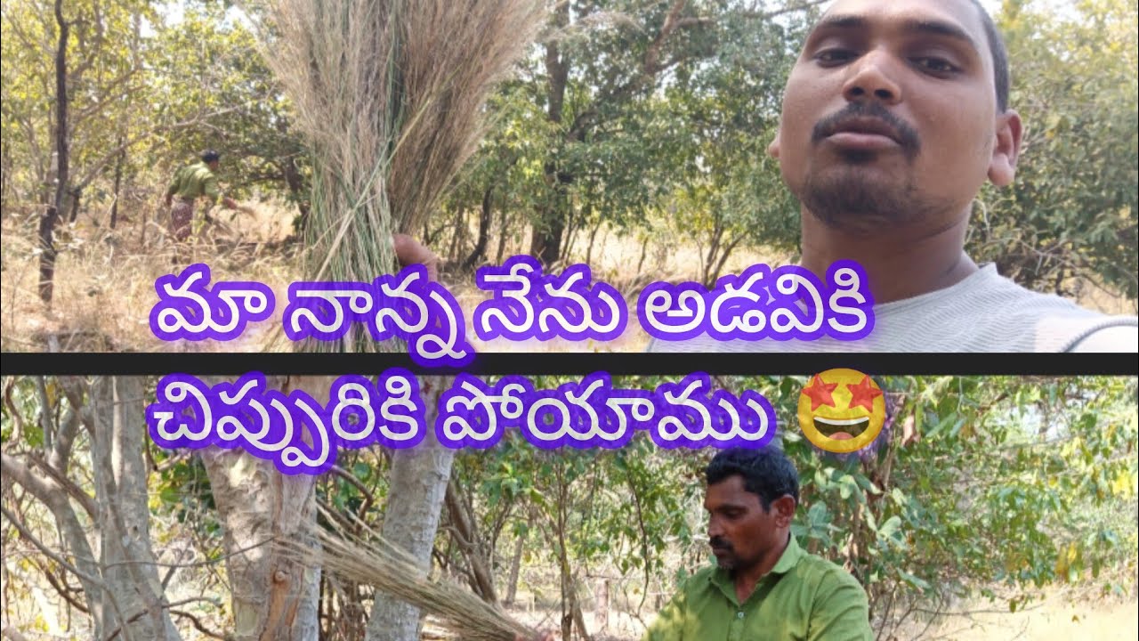 మా నాన్న నేను మా ఊరిలో ఉన్న అడవిలోకి చీపురికి పోయాం 🥰 చిప్పురు దొరికింది 🥰