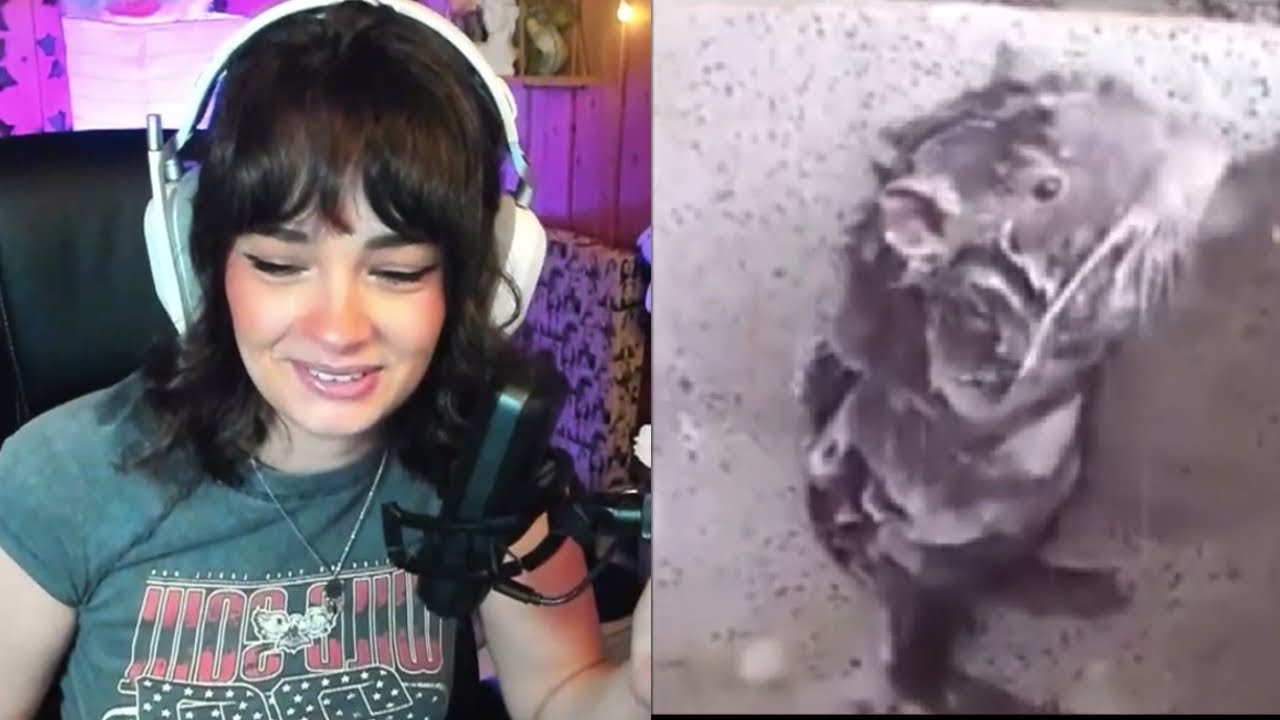 viewer promedio de mara | Misspolaroid