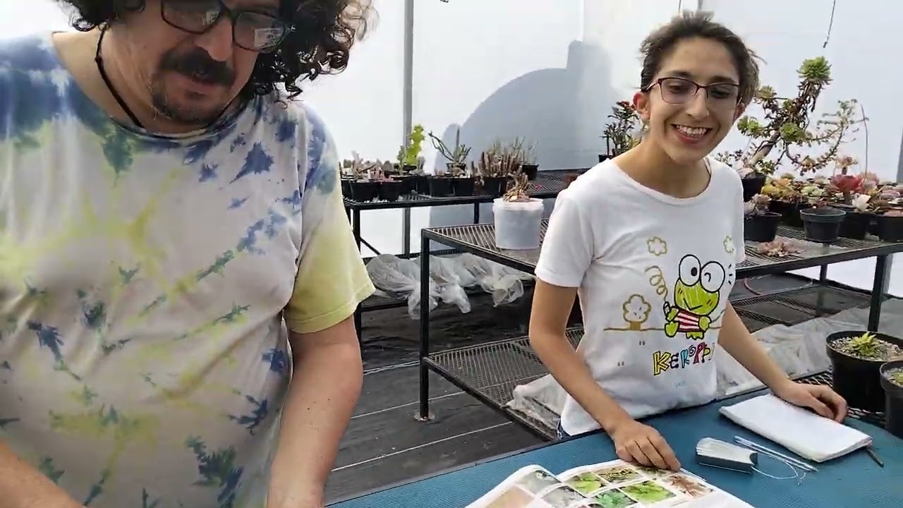 Algunas actividades en el invierno en la colección de cactaceas y suculentas.