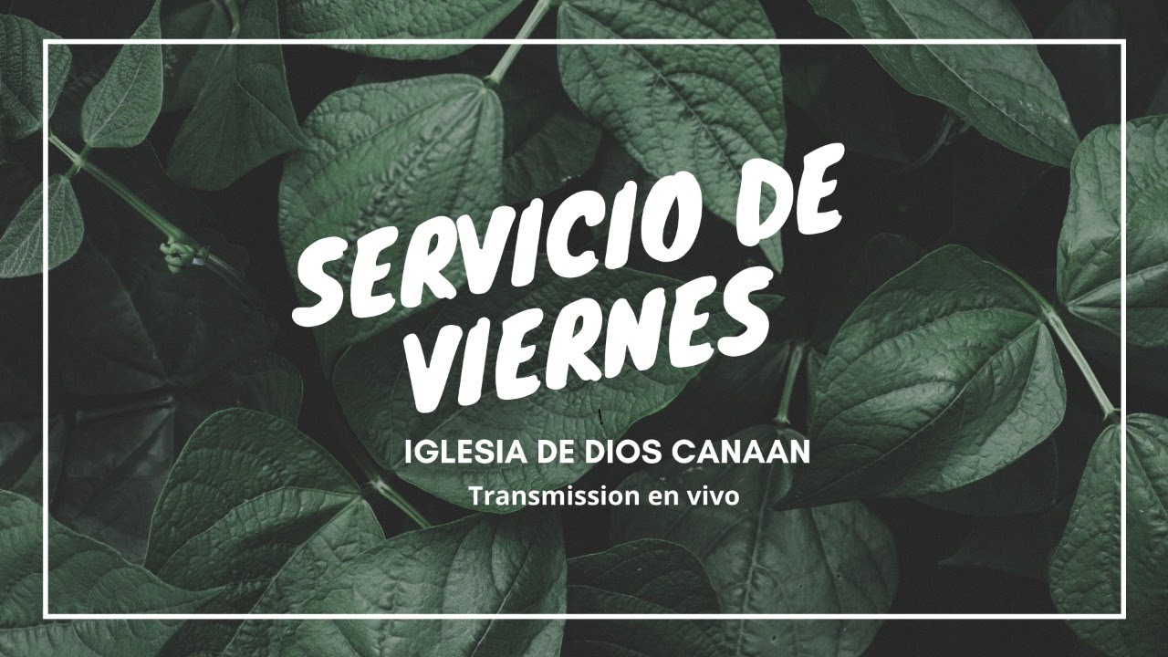 Servicio de Viernes