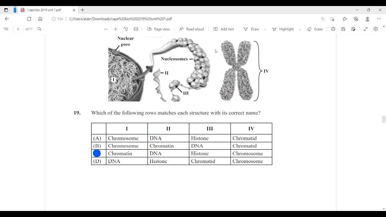 Cape Biology 2019 Unit 1 Paper 1 Solutions