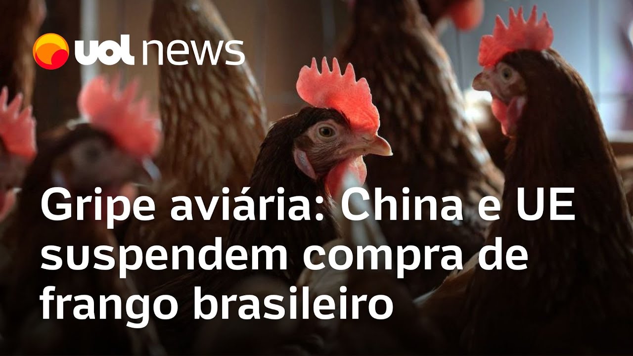 Brasil confirma 1º caso de gripe aviária; China e UE param de comprar frango brasileiro