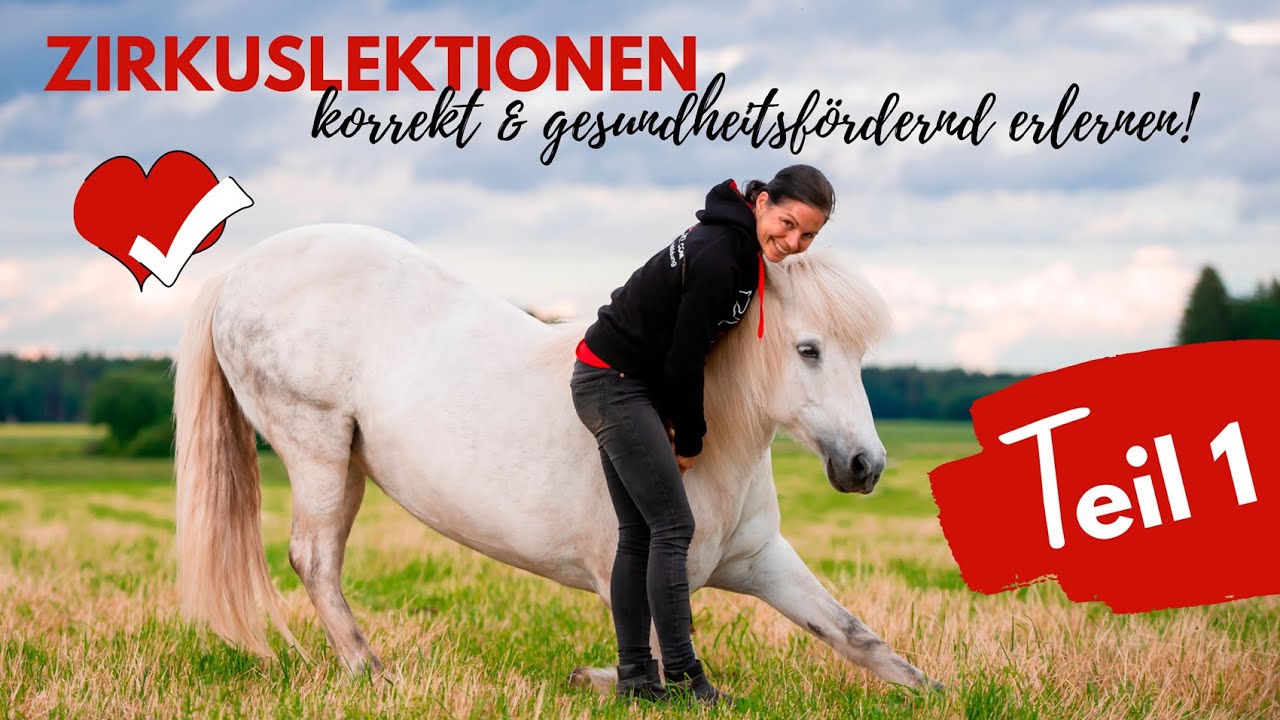 🐎 #Zirkuslektionen wirklich korrekt erlernen mit Sandra Fencl - TEIL 1 😍