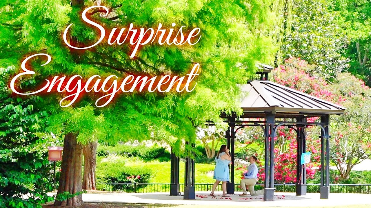 SHE GOT ENGAGED (Surprise Proposal) | Family 5 Vlogs