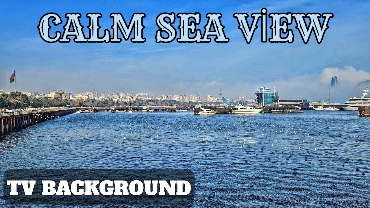 Digital Window to the Sea | High-Definition Waterfront View for Your Room
