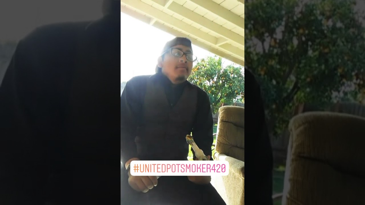 UnitedPotSmoker420 - Smoking Thc, Girl Scout Cookies