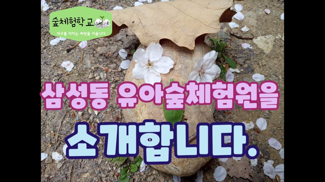 삼성동 유아숲체험원을 소개합니다.