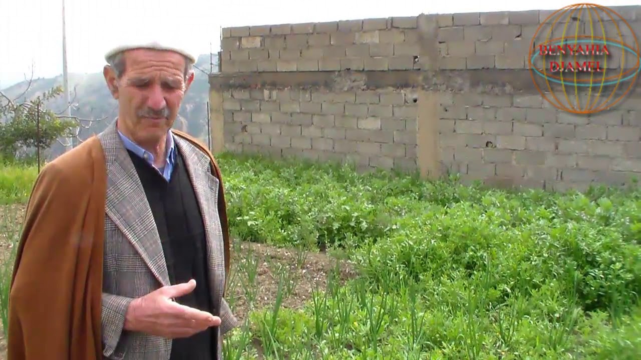 SIDI IDIR سيدي ادير
