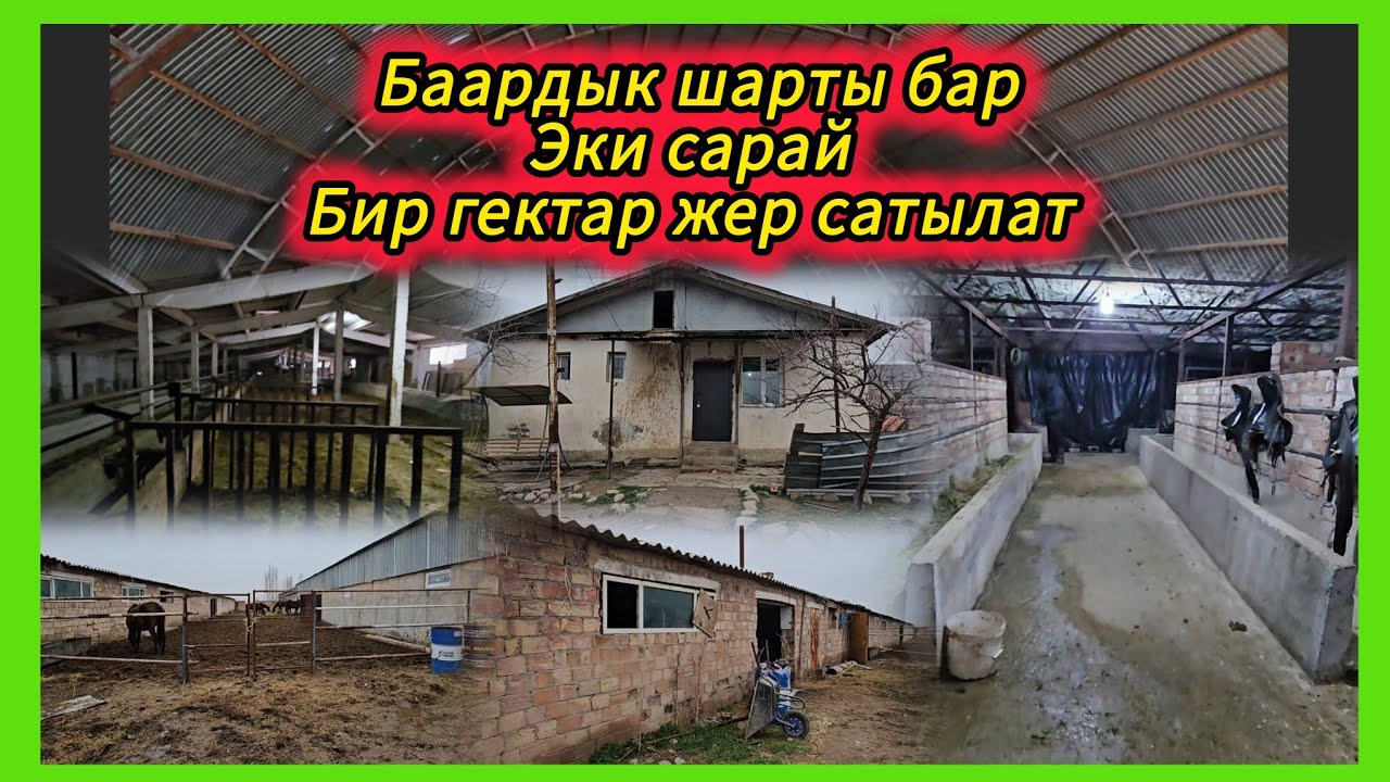 Бир гектар жер Эки чоң сарай үй жөп жыйган ангары менен сатылат. 