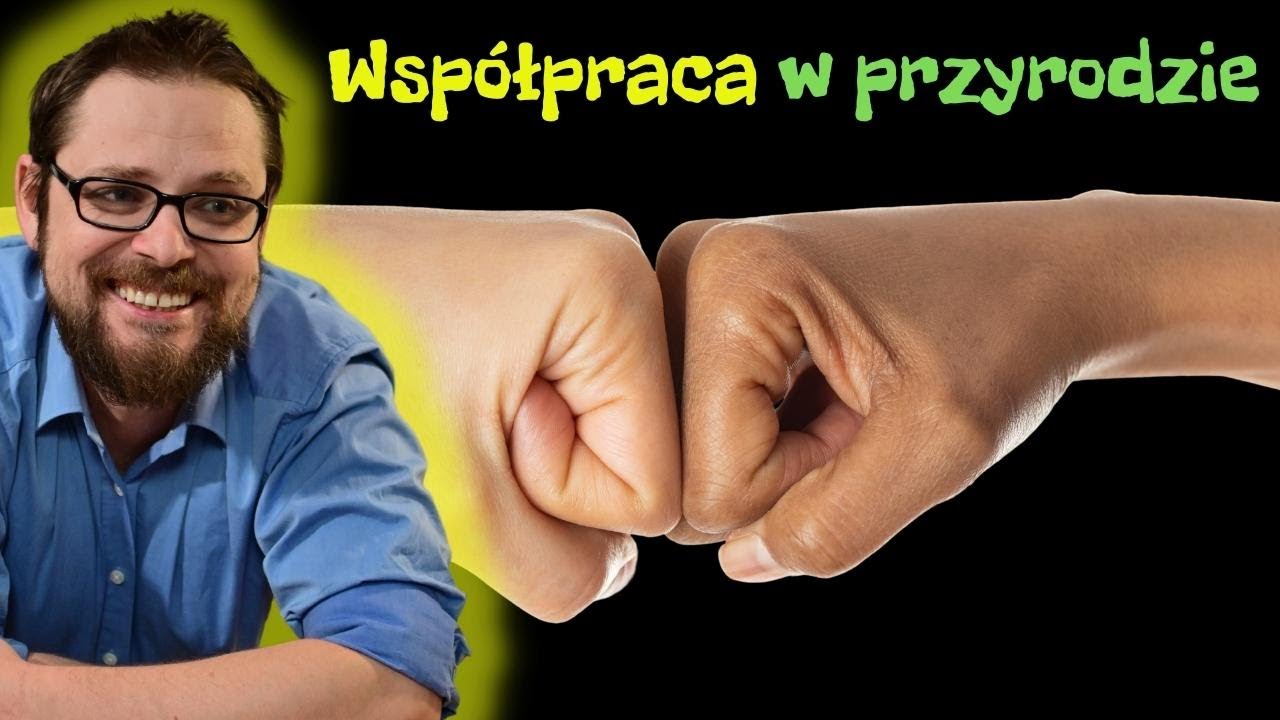 Nieantagonistyczne zależności między organizmami. Komensalizm, mutualizm, protokooperacja, symbioza