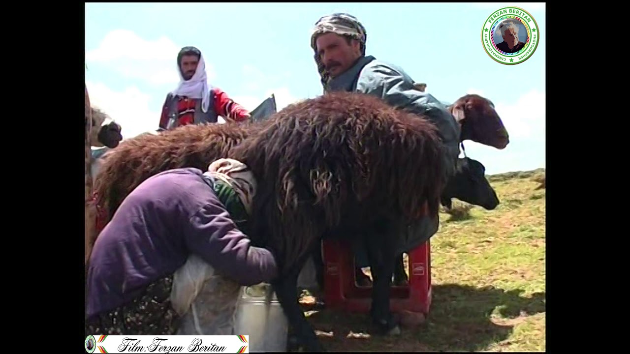 Beritan aşiretin yayla yaşamı