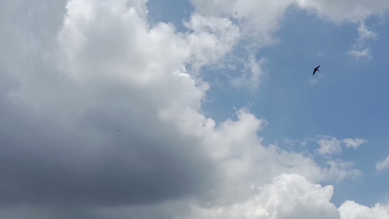 White Clouds And Overcast Drifting Across A Deep Blue Sky | Silent Nature Visual