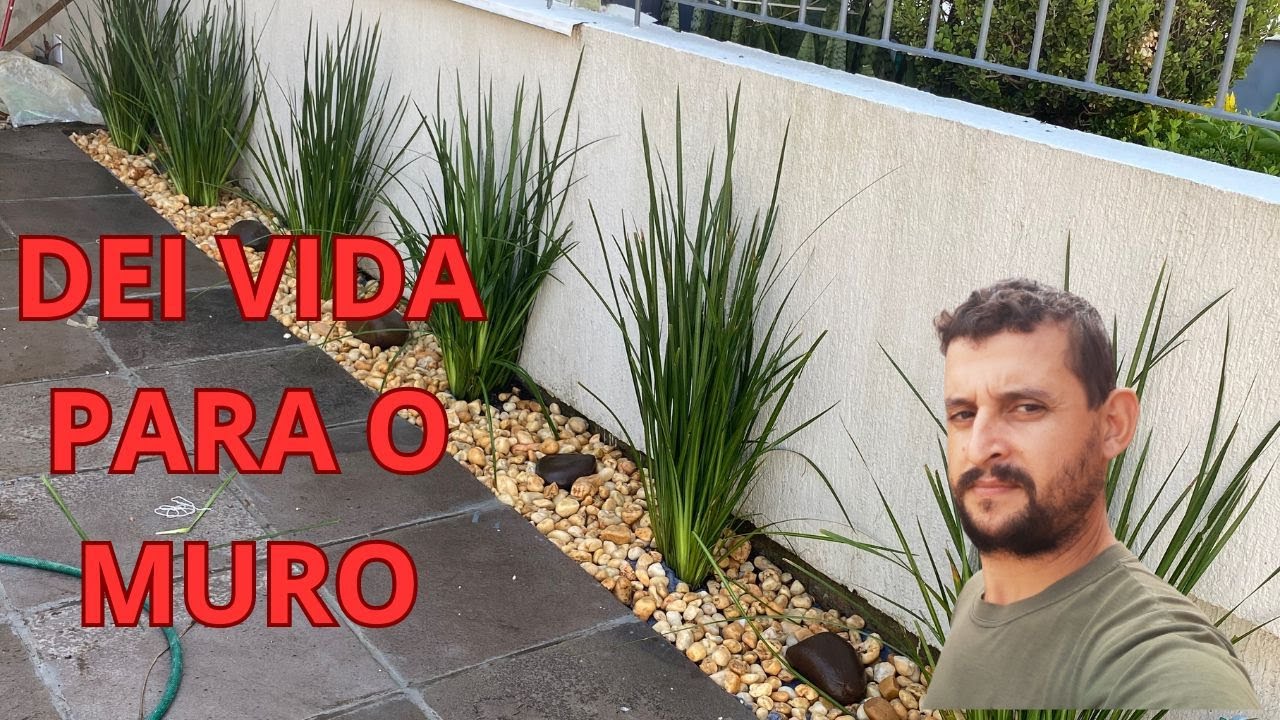 MURO COM MOREIA TOP #jardineiro #plantas #jardim