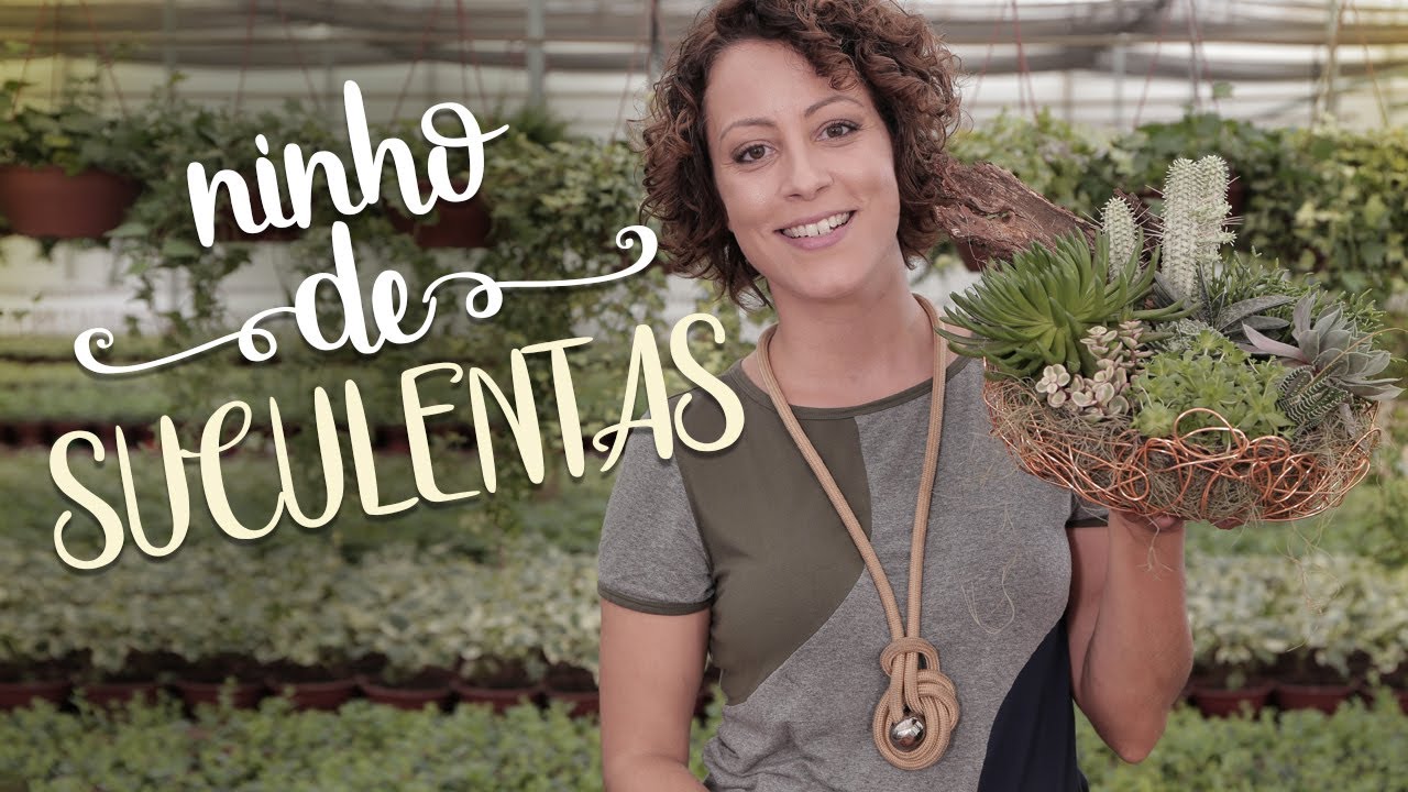 NINHO de SUCULENTAS: FÁCIL de fazer