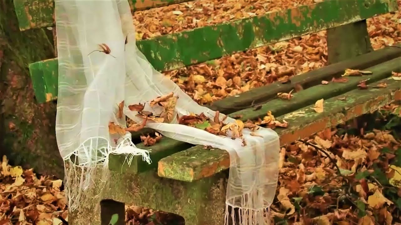 KRZYSZTOF KOLBERGER ~ Wiersze Ks.J.Twardowski - Spieszmy się, Różne samotności ღ