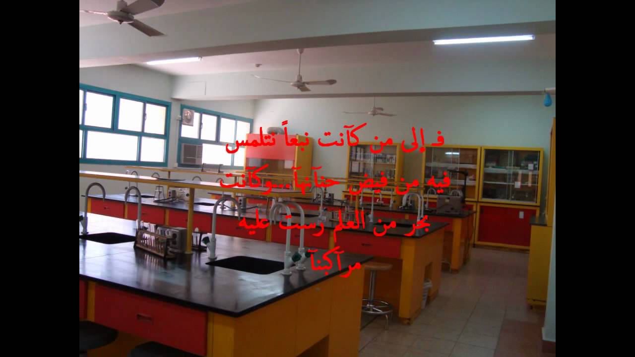 زهرة الأوركيديا سندس.. الثانوية الثامنة