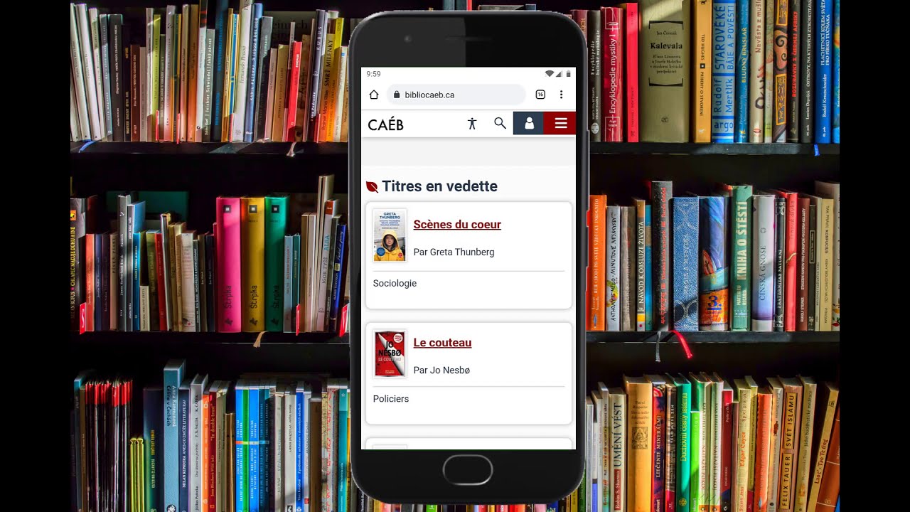 Obtenir un livre en format ZIP sur le site Web du CAÉB