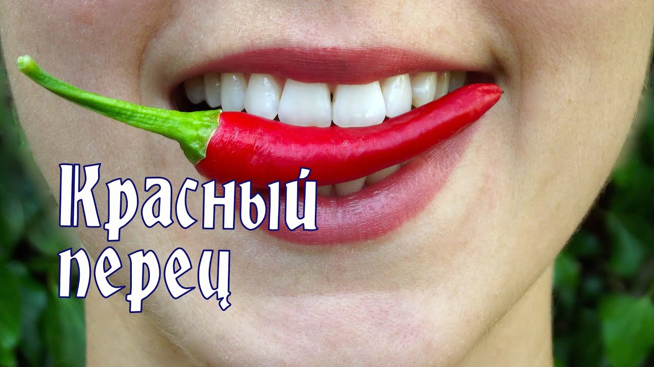Специи. Красный перец, полезные свойства, применение, противопоказания. ENG SUB