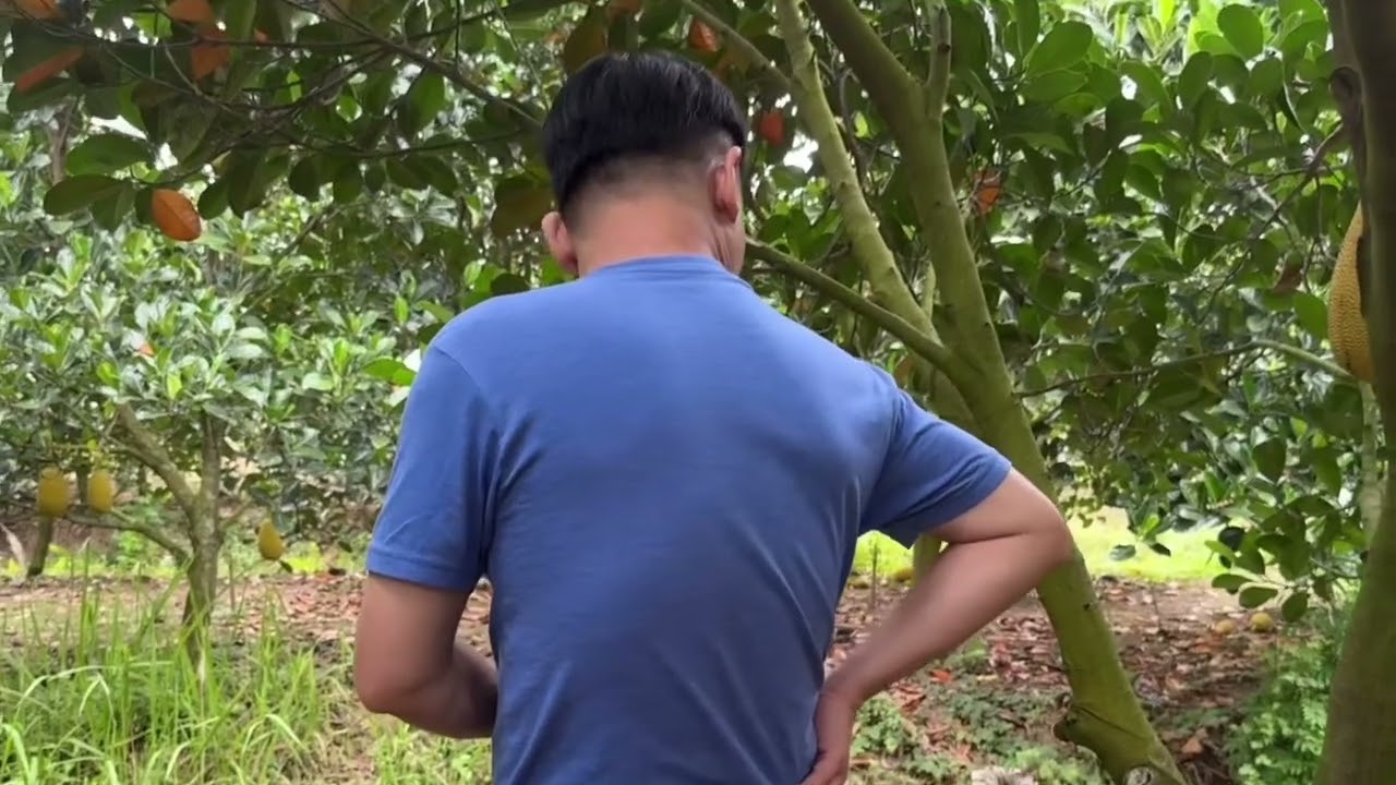 289. .CK KUI ĐI THĂM VƯỜN 🤫🤫