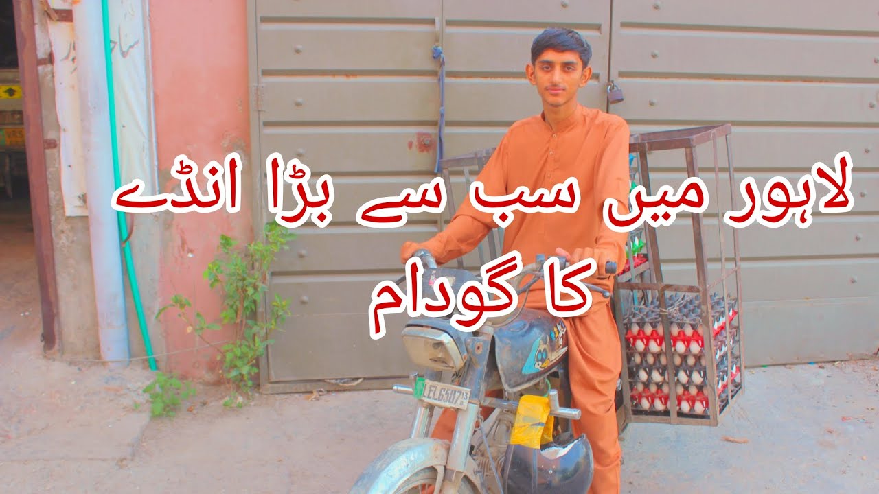 سب سے بڑا انڈوں کا گودام لاہور | Lahore Egg Warehouse | Eggs Wholesale Business & Rates