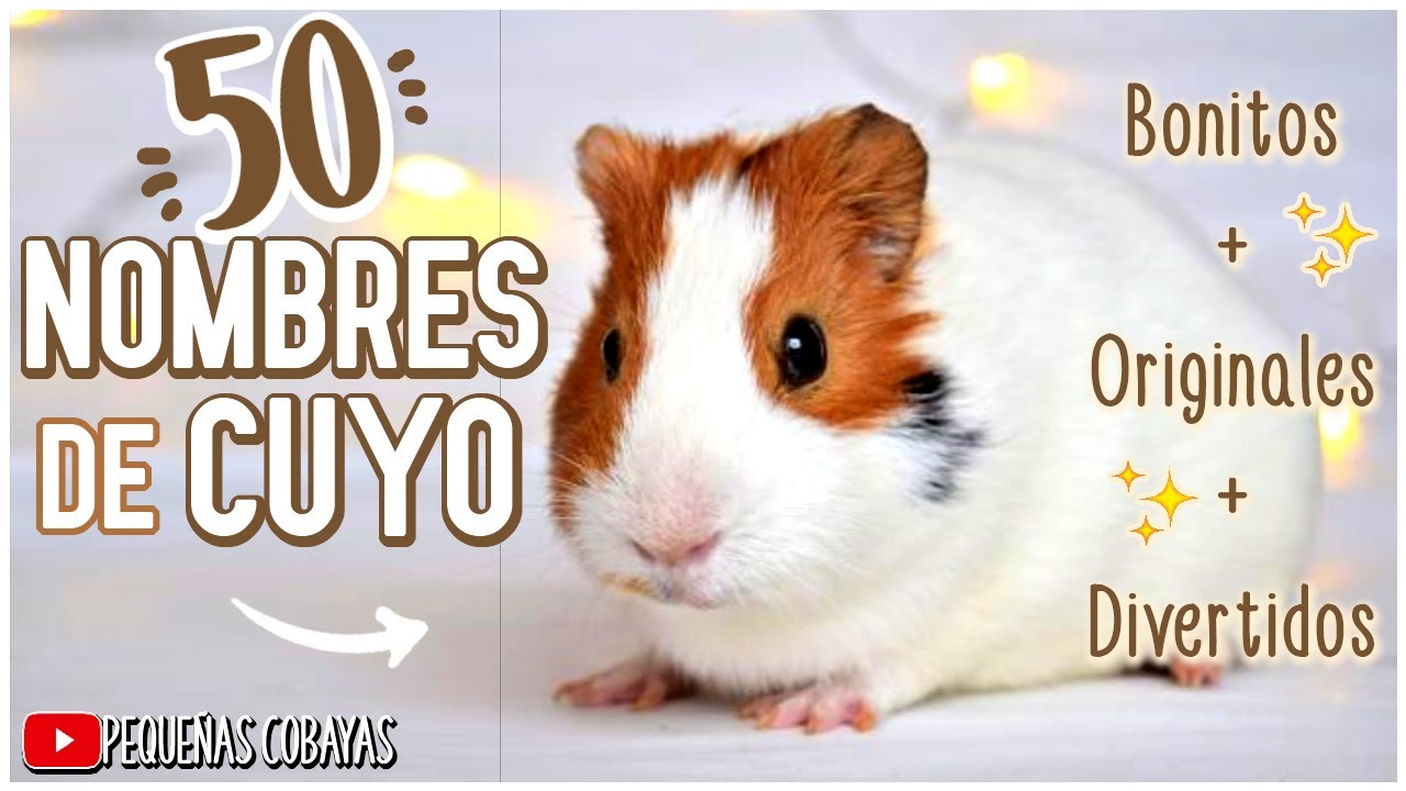 NOMBRES para CUYO HEMBRA