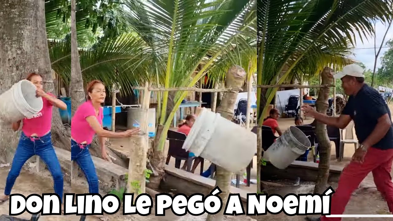 Don Lino Le P3go En La Cara A Noemí Y Le Lanzó Un Bote De Agua Y Noemí Terminó Huyendo De Casa