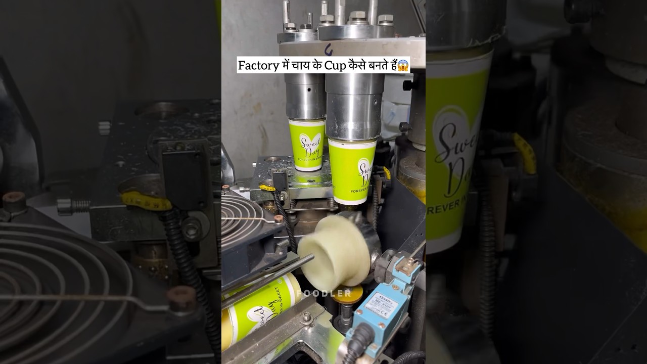Fully Automatic Paper Cup Bulk Manufacturing In India😳 #shorts #shortsfeed #viral #trending