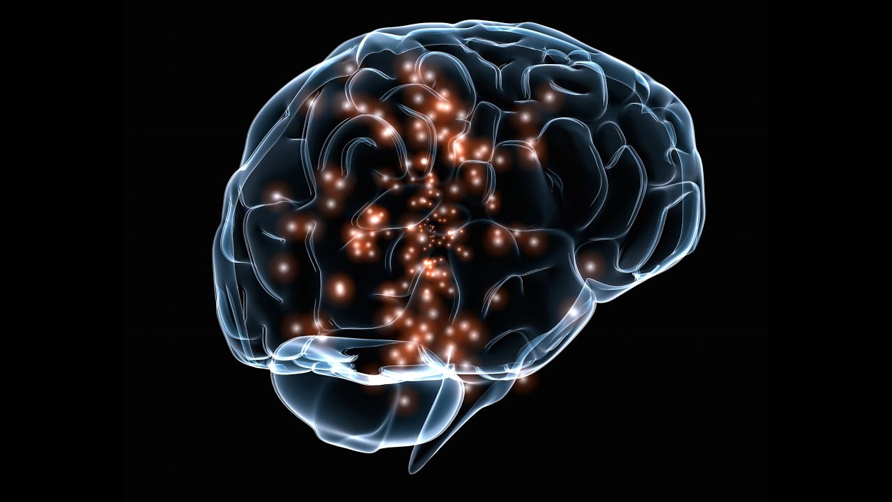 Science on tourne ! L&rsquo;&eacute;tude de la plasticit&eacute; du cerveau, de la compr&eacute;hension &agrave; l&rsquo;utilisation