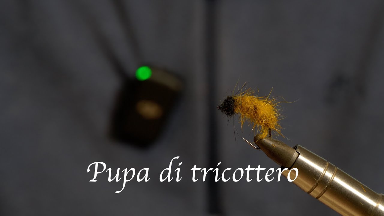 Tenkara: Costruire la Pupa di Tricottero – Un Artificiale Semplice ed Efficace!