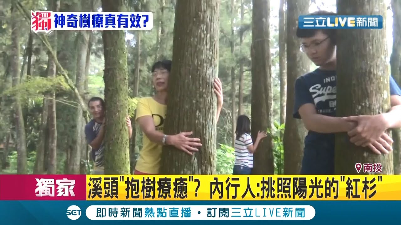 抱樹真能療癒身心？揭