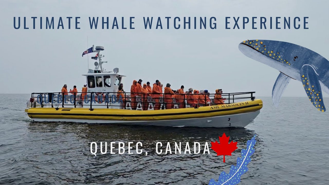 🐋 Ultimate Whale Watching Experience in Quebec Canada| Once-in-a-Lifetime Experience! 🇨🇦