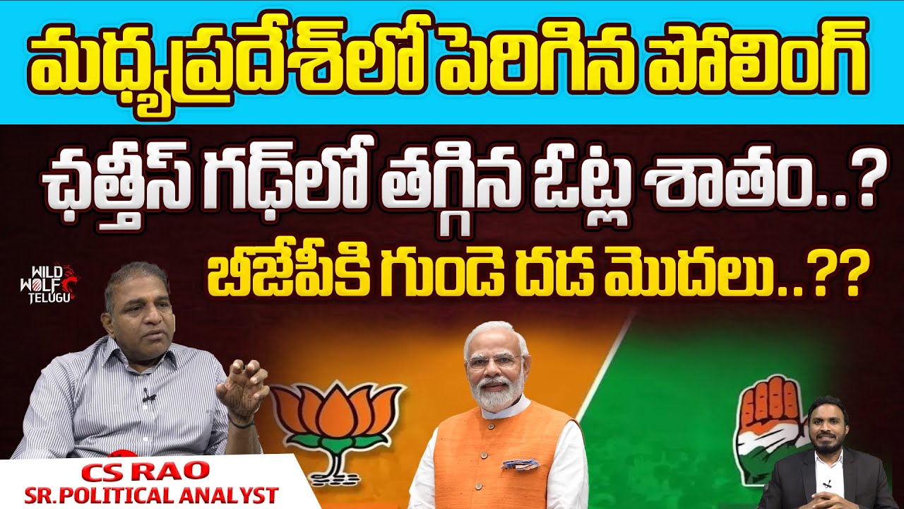 BJP vs Congress As Madhya Pradesh, Chhattisgarh Vote Today | Assembly Elections 2023 | Wild Wolf