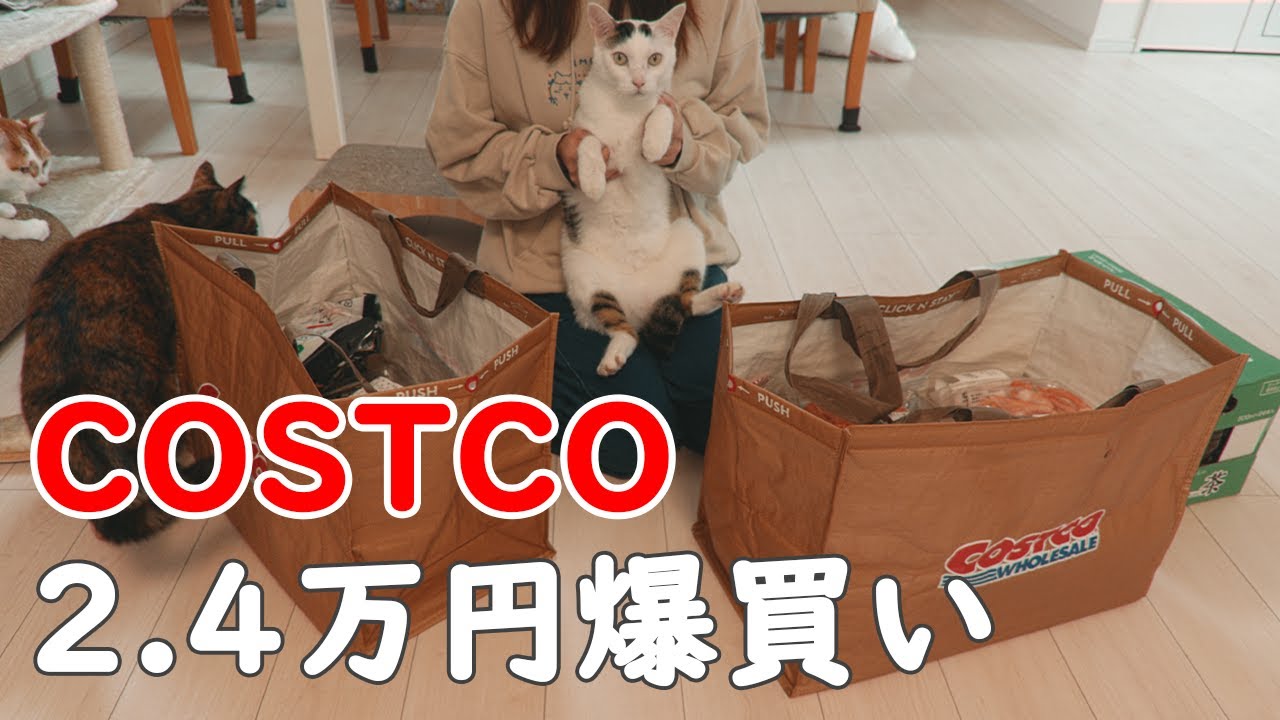 コストコで2.4万円分を爆買いしてきた