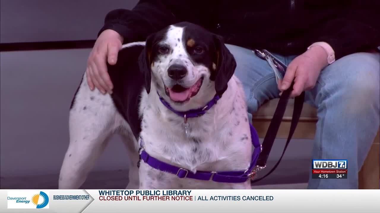 Pet Talk: Roanoke Valley SPCA Partners With Pets for Patriots