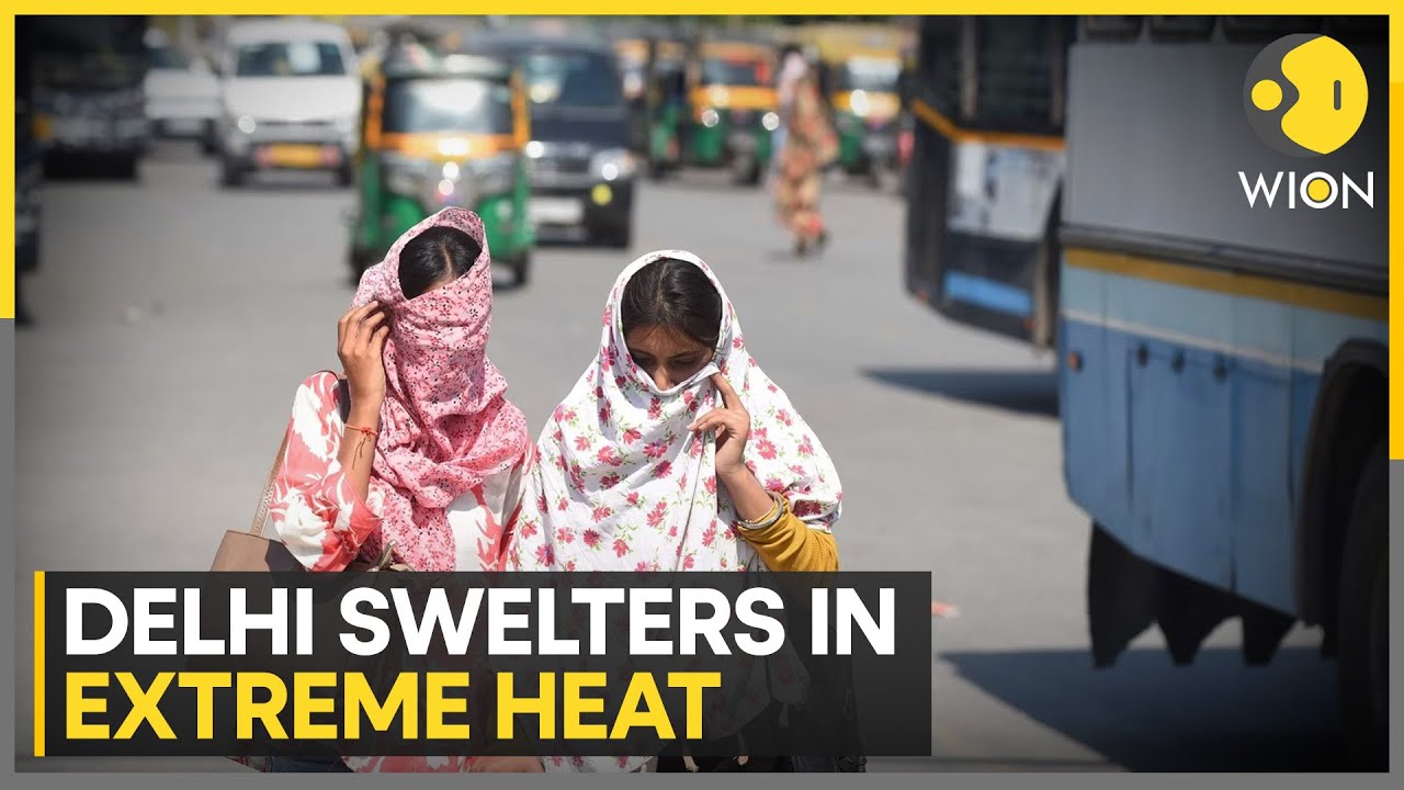 India heatwave: Did Delhi really witness 52.9&deg;C? IMD says recording could be sensor 'error' | WION