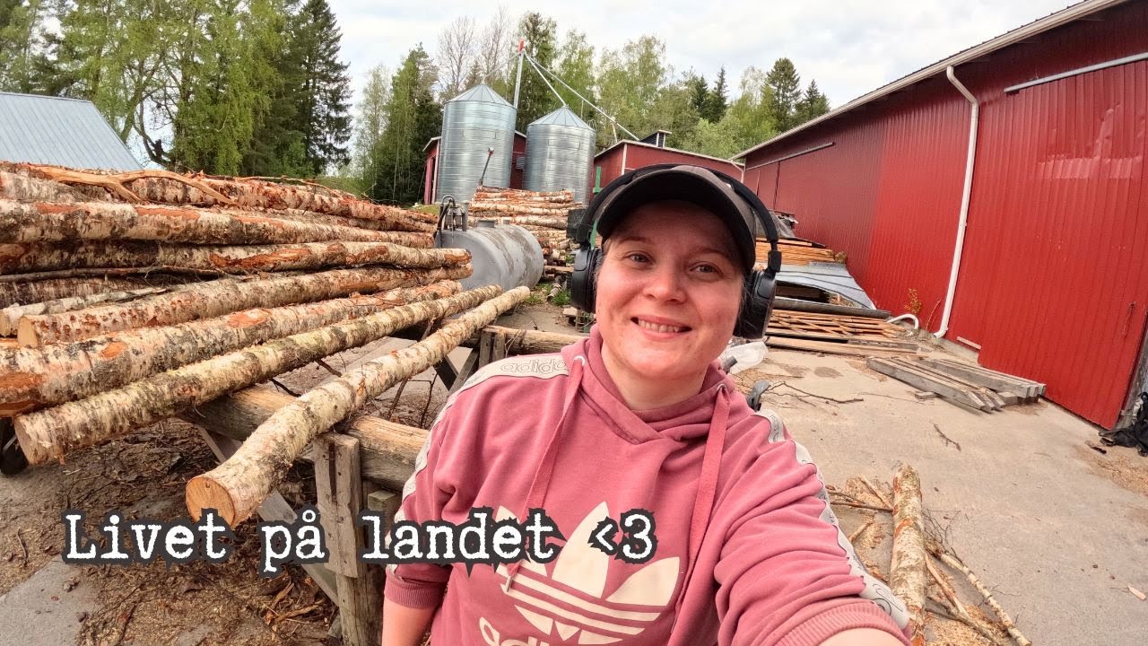 Livet på landet vlogg | Ladugårdstur | Vedlagning |
